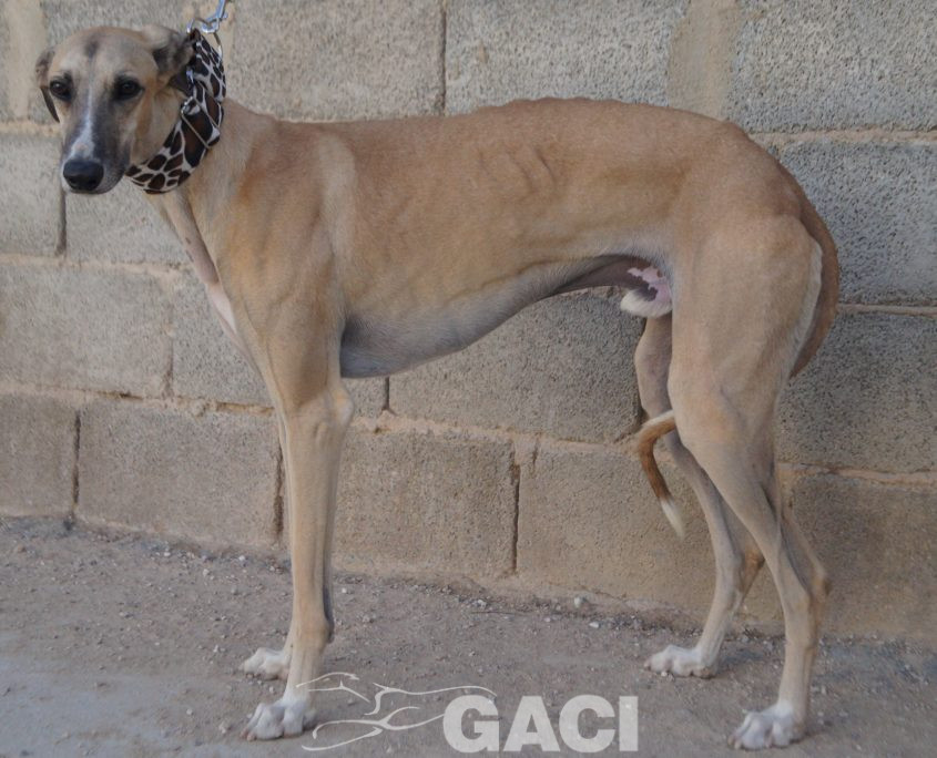 JIMENO NUEVAS FOTOS (2)