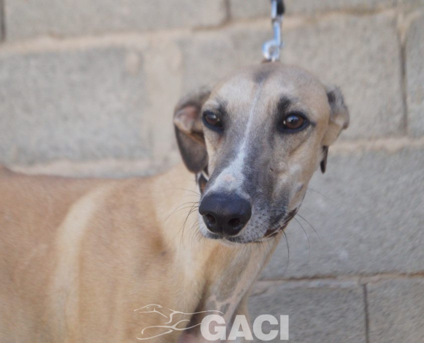 JIMENO NUEVAS FOTOS (3)