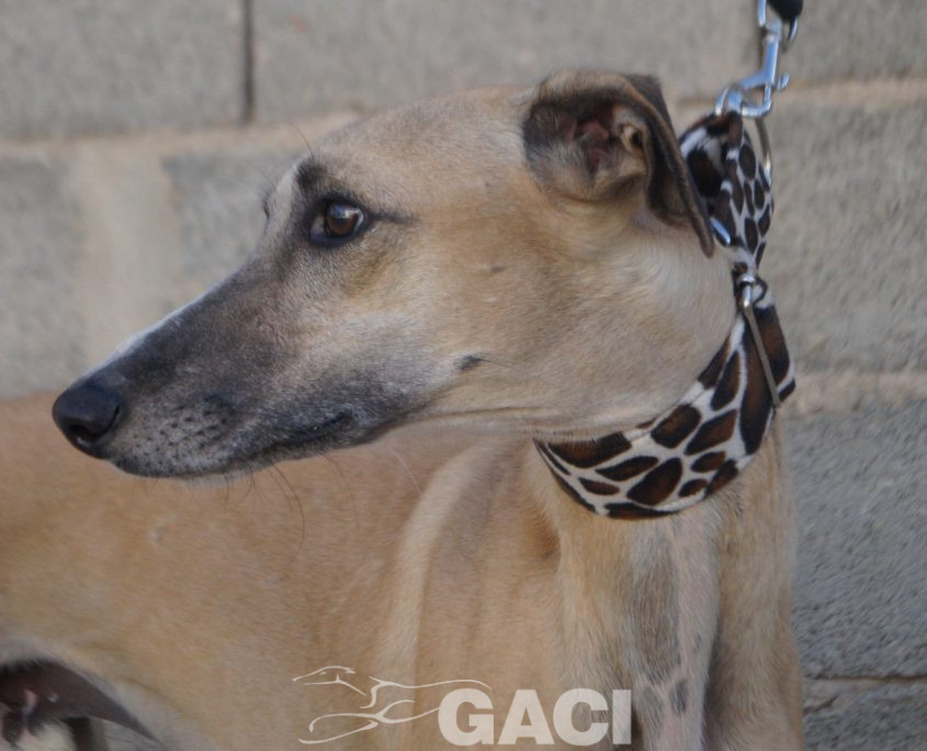 JIMENO NUEVAS FOTOS (4)