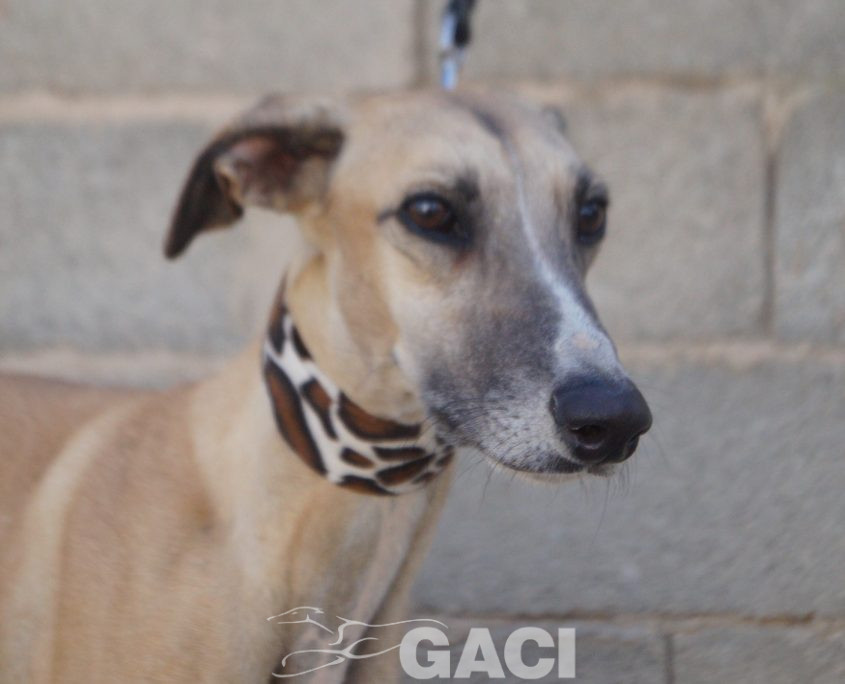 JIMENO NUEVAS FOTOS (5)