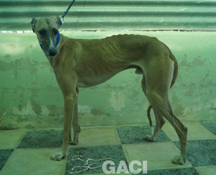 P190706_02 JIMENO M2 (6)