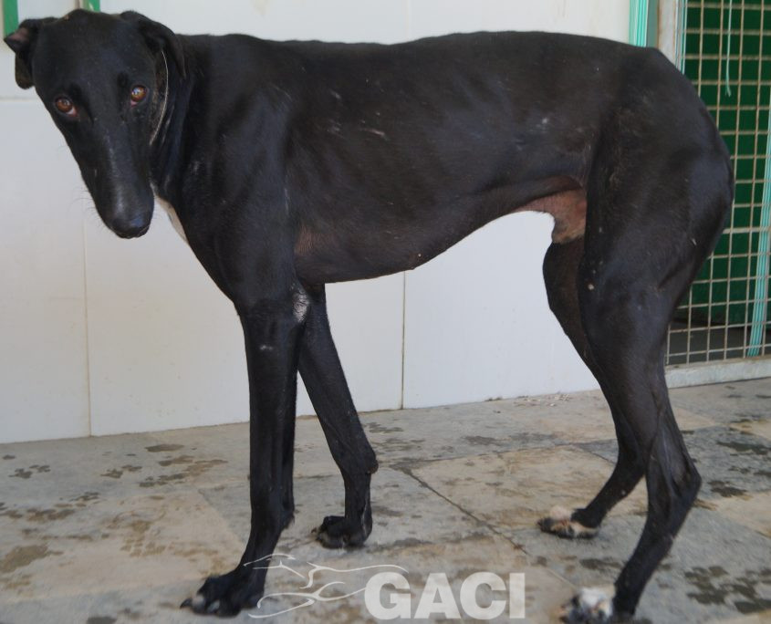 P190726_03 CHAPAPOTE M1 941000023949793 ( CESION) (2)