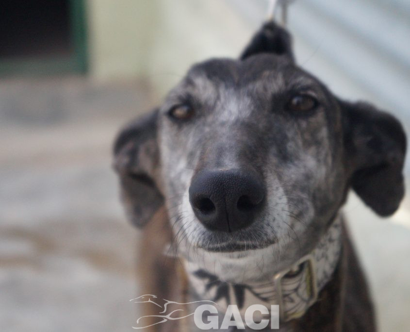 FRESA NUEVAS FOTOS (16)