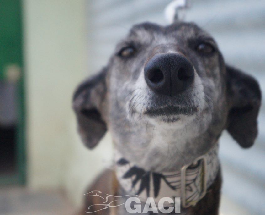 FRESA NUEVAS FOTOS (17)