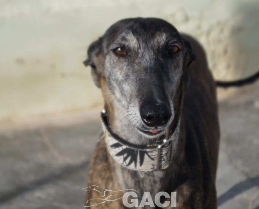 FRESA NUEVAS FOTOS (22)