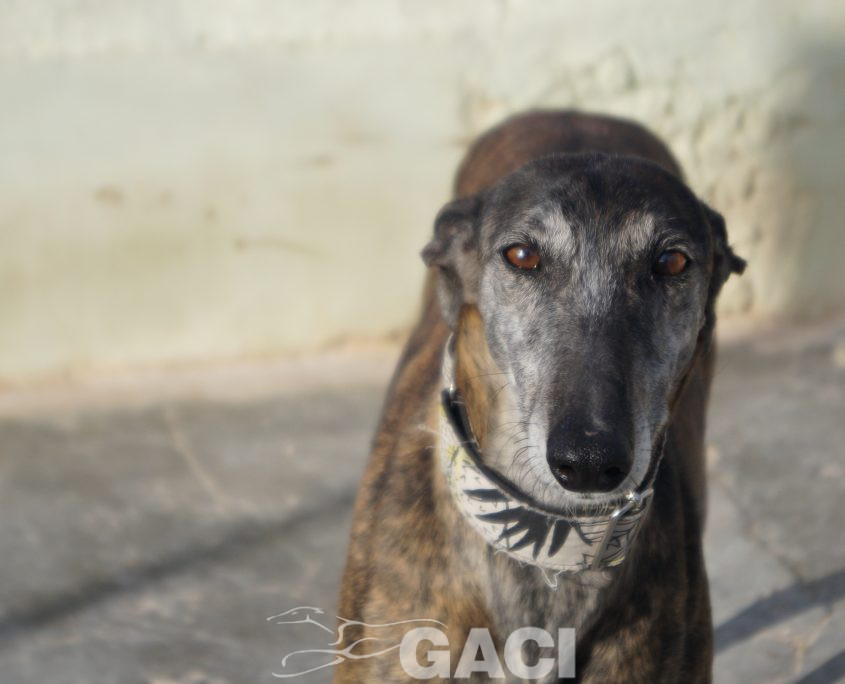 FRESA NUEVAS FOTOS (23)