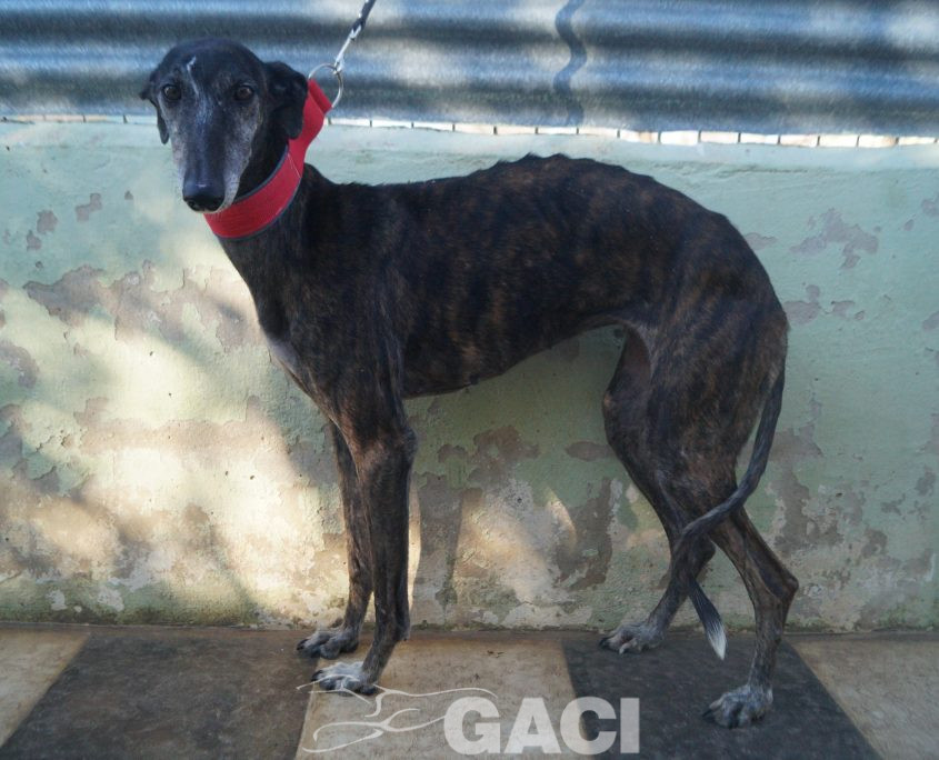 P200103_01 FRESA H7 (1)