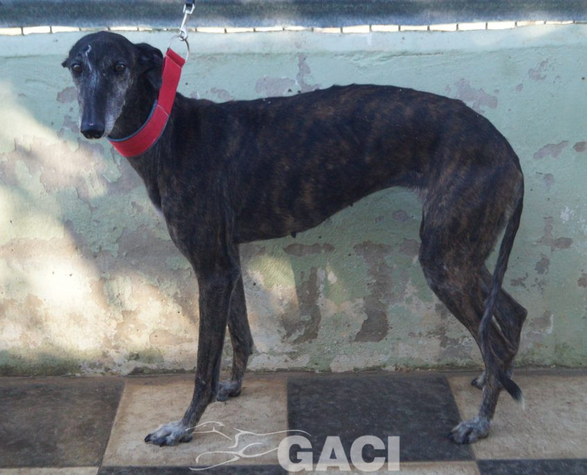 P200103_01 FRESA H7 (2)