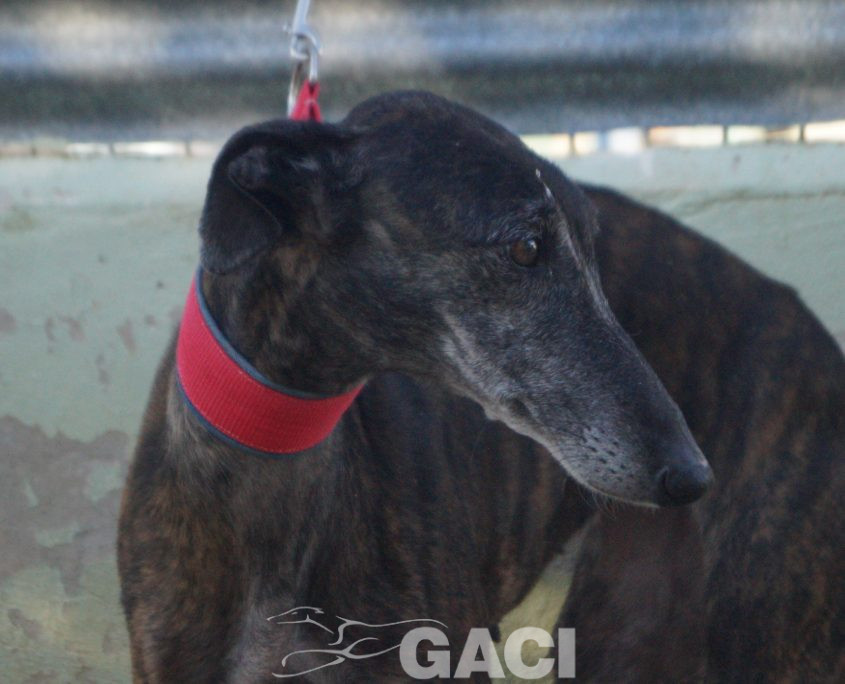 P200103_01 FRESA H7 (3)