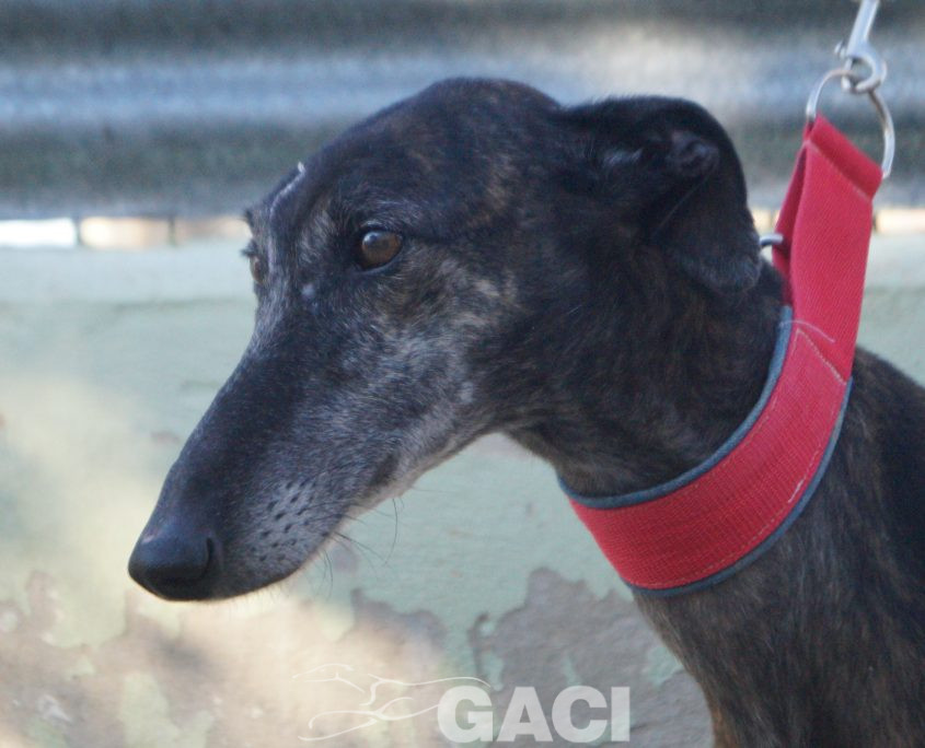 P200103_01 FRESA H7 (5)