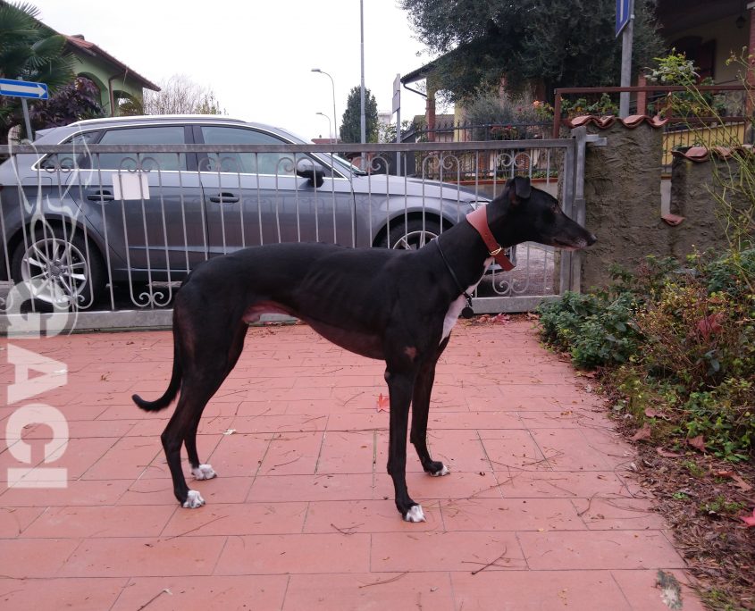 55,55,207,195.389297