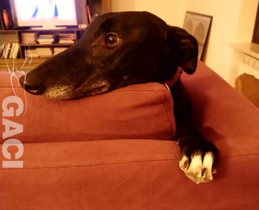 25,25,408,420.964233