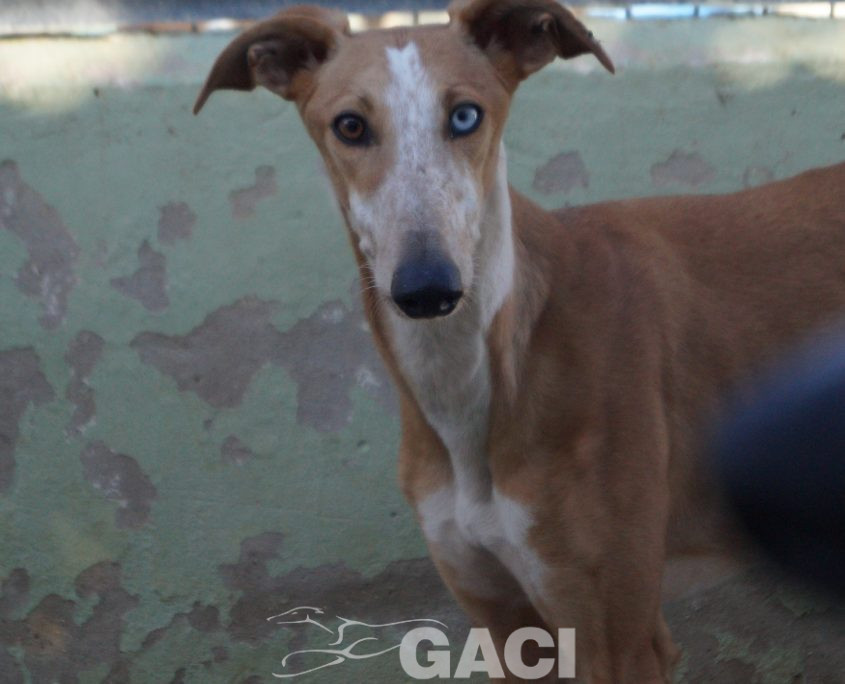 P200203_04 FROZEN H1 (11)