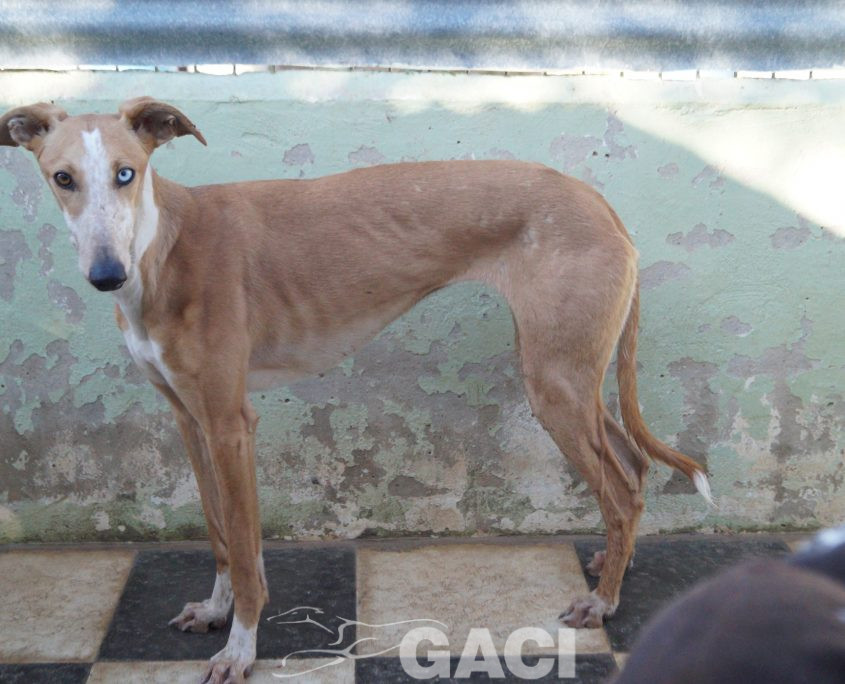 P200203_04 FROZEN H1 (15)