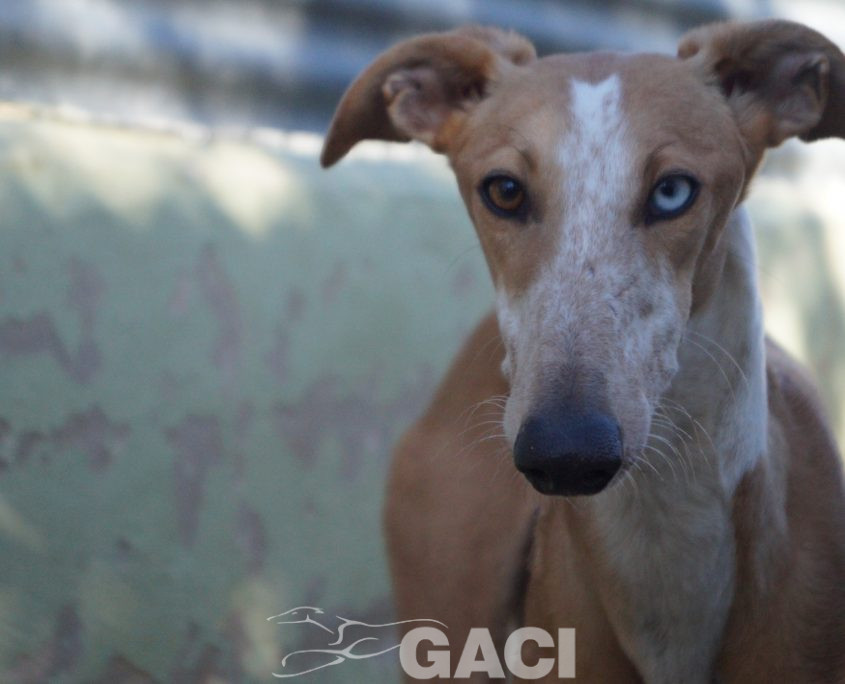 P200203_04 FROZEN H1 (21)