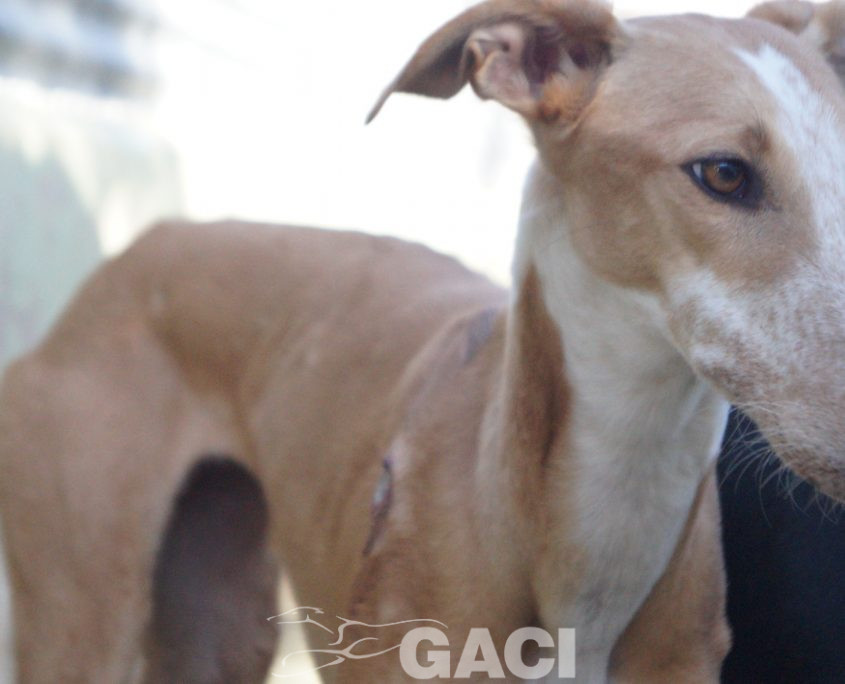 P200203_04 FROZEN H1 (22)