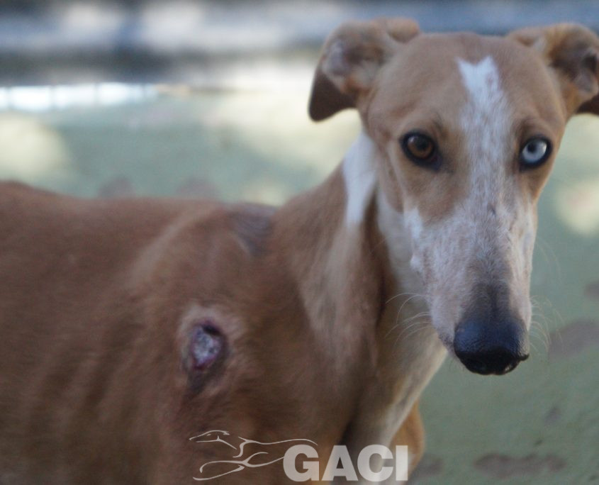 P200203_04 FROZEN H1 (3)