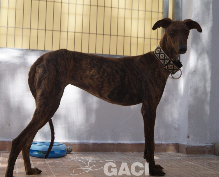 TELMA NUEVAS FOTOS (11)