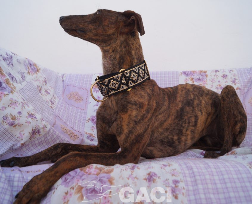 TELMA NUEVAS FOTOS (12)