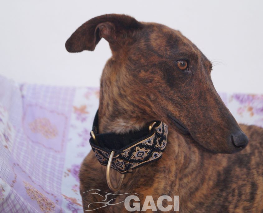 TELMA NUEVAS FOTOS (13)