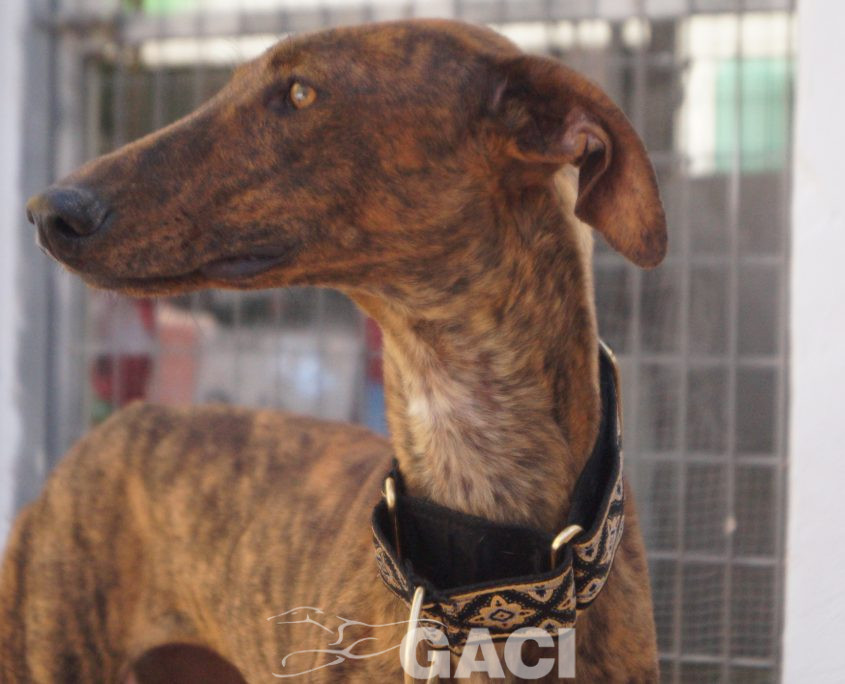 TELMA NUEVAS FOTOS (6)