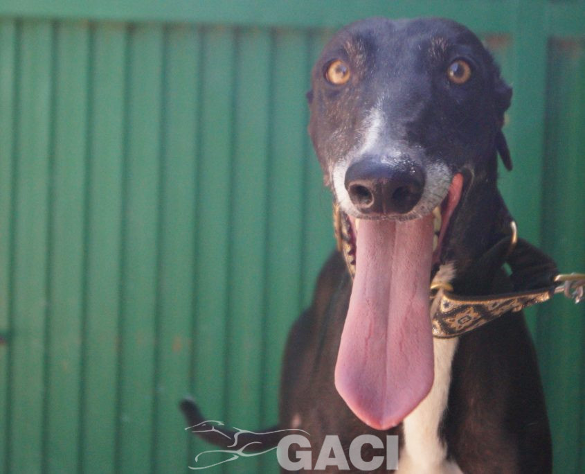 CESAR NUEVAS FOTOS (1)