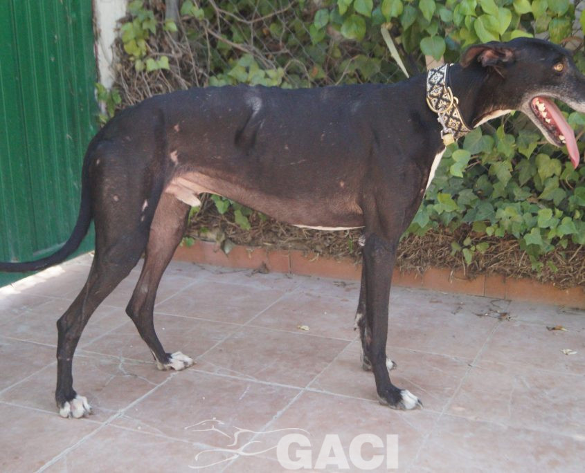 CESAR NUEVAS FOTOS (4)