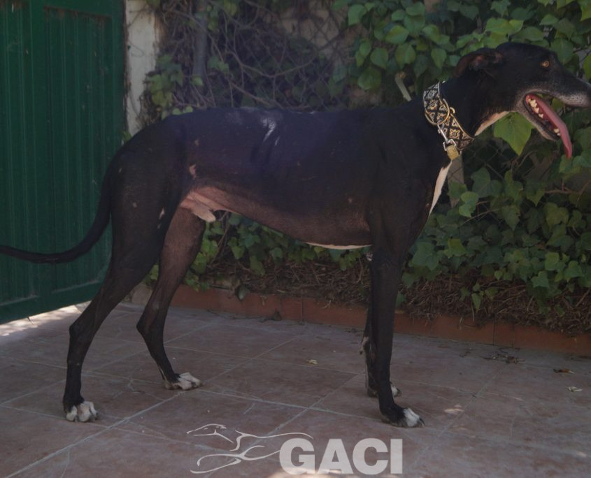 CESAR NUEVAS FOTOS (5)