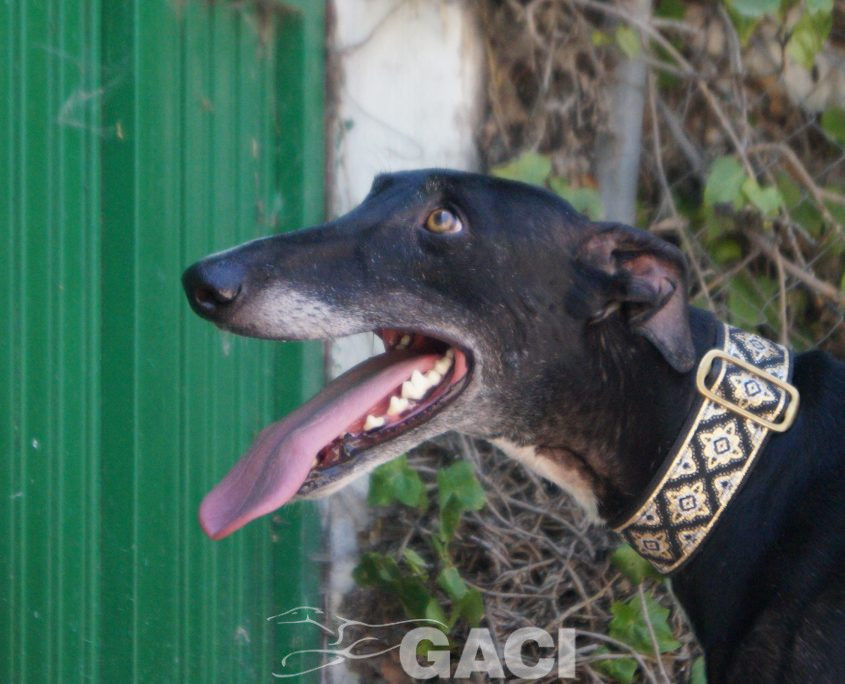 CESAR NUEVAS FOTOS (6)