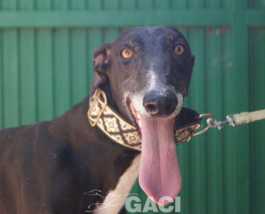 CESAR NUEVAS FOTOS (8)