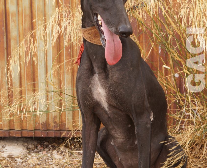 LOLA nuevas fotos (22)