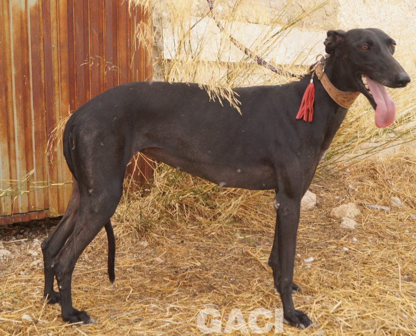 LOLA nuevas fotos (25)