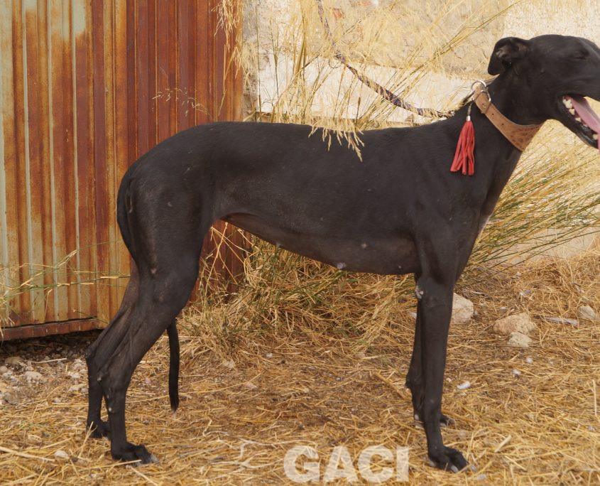 LOLA nuevas fotos (26)