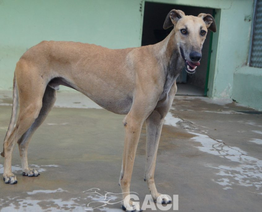 PAUL NUEVAS FOTOS (1)