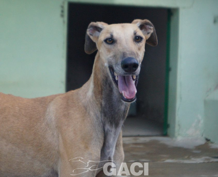 PAUL NUEVAS FOTOS (12)