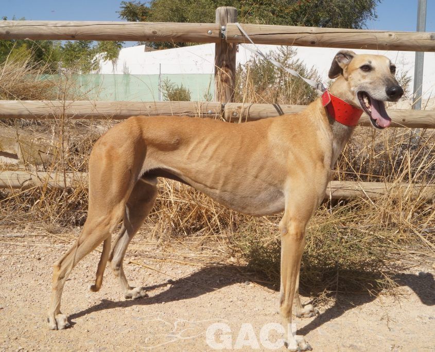 PAUL NUEVAS FOTOS (2)