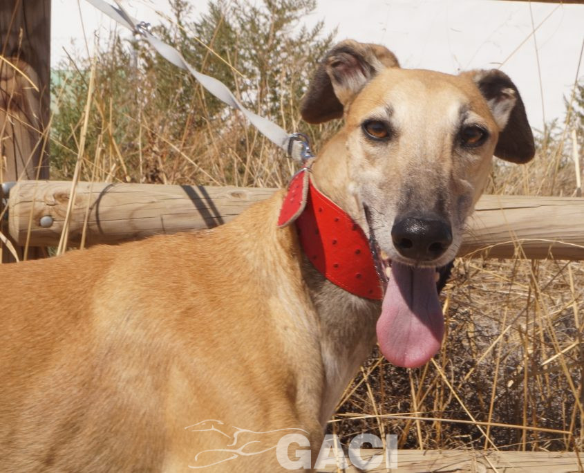 PAUL NUEVAS FOTOS (5)