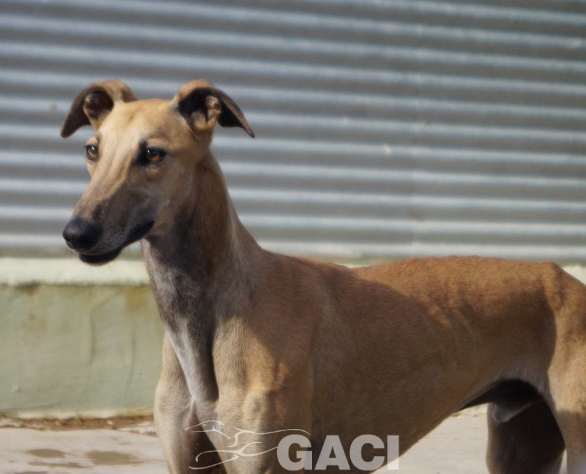 PAUL NUEVAS FOTOS (7)