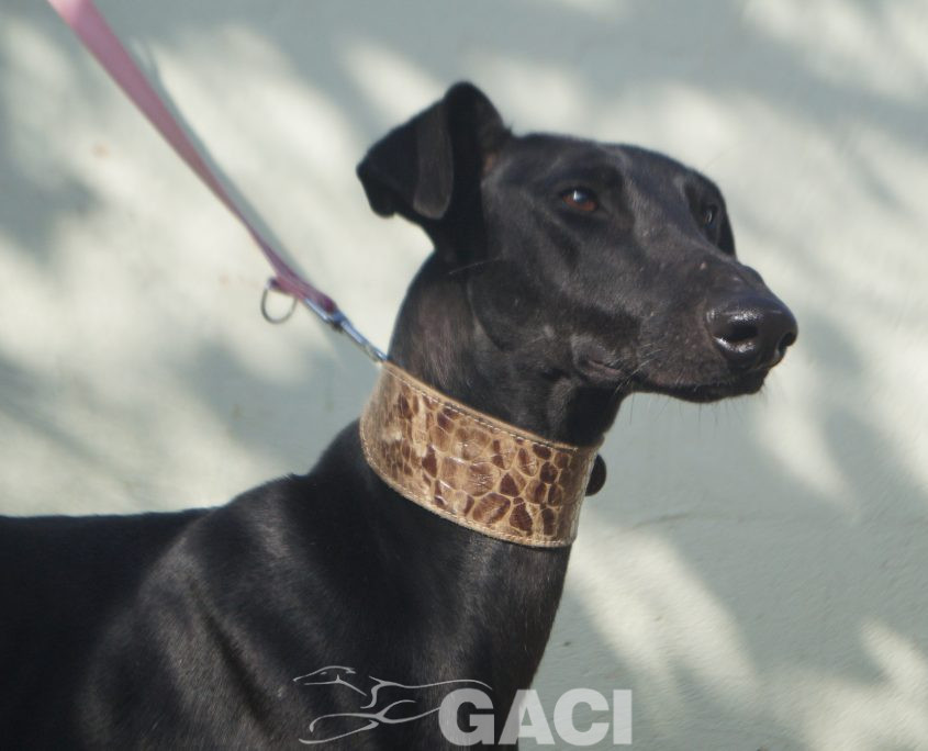 P201115_01 MARI H2 (1)