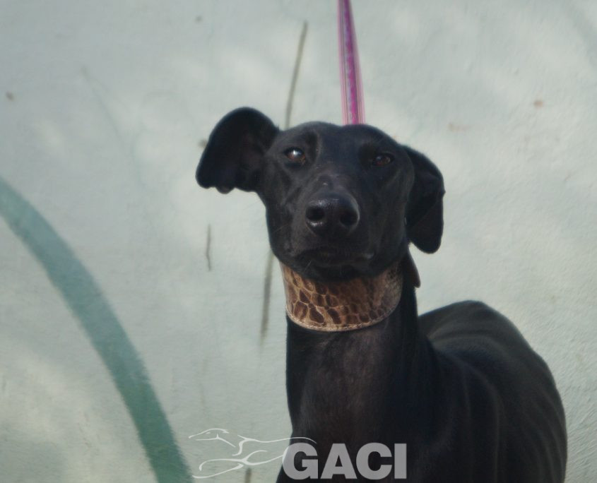 P201115_01 MARI H2 (3)