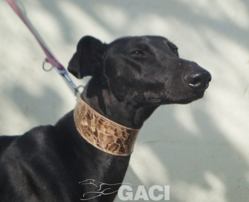 P201115_01 MARI H2 (4)