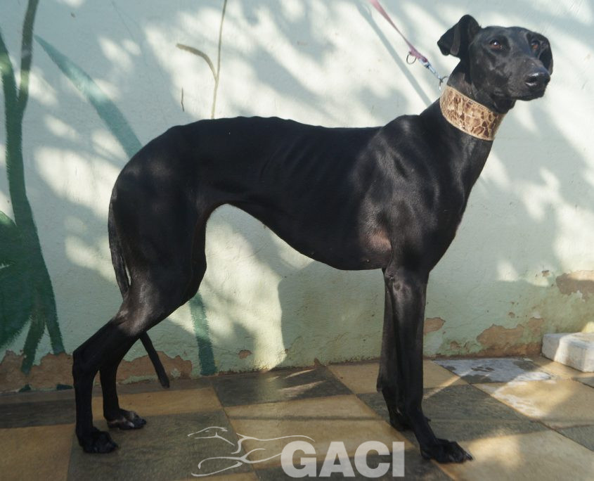 P201115_01 MARI H2 (7)