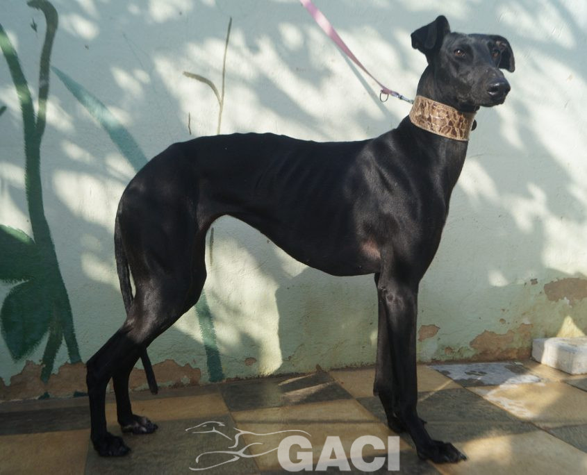 P201115_01 MARI H2 (8)