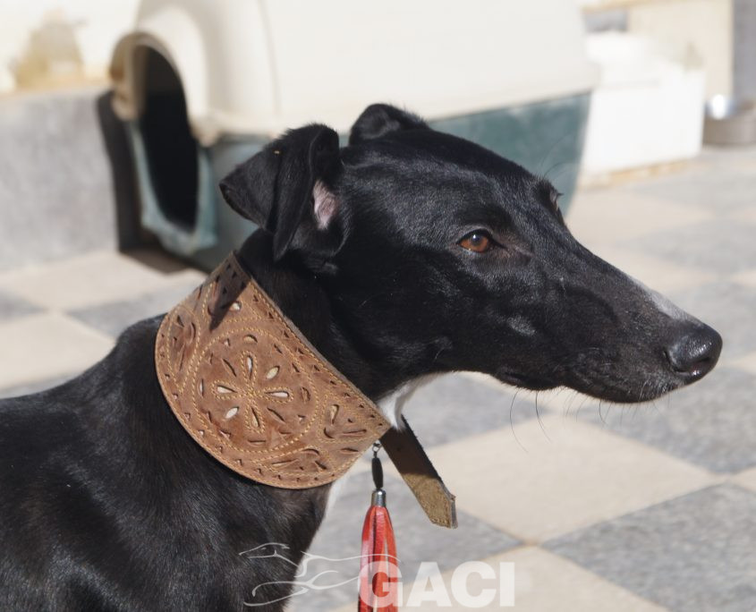 P210202_02 ELENA H0,10 ( CESION) (4)