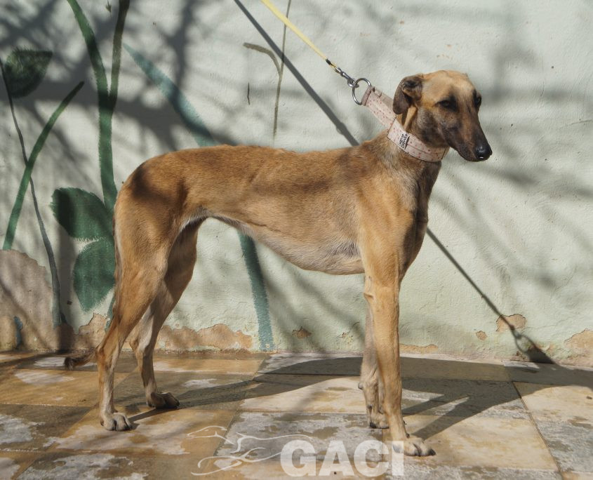 P210316_01 ABRIL H2 (1)