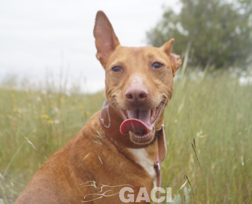 JARA NUEVAS FOTOS (1)