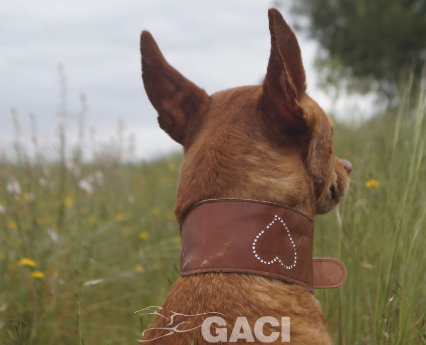 JARA NUEVAS FOTOS (10)