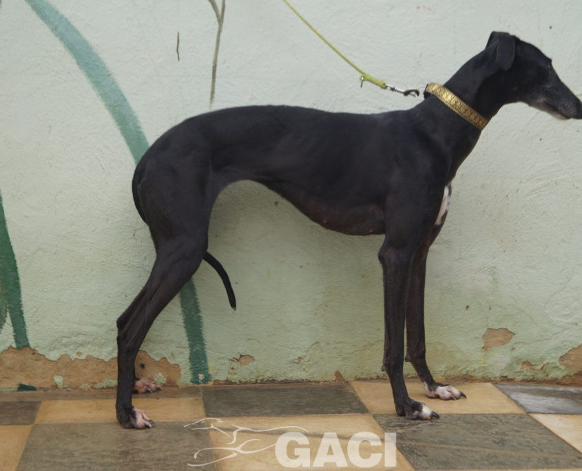 P201212_02 VALERI H3 (8)