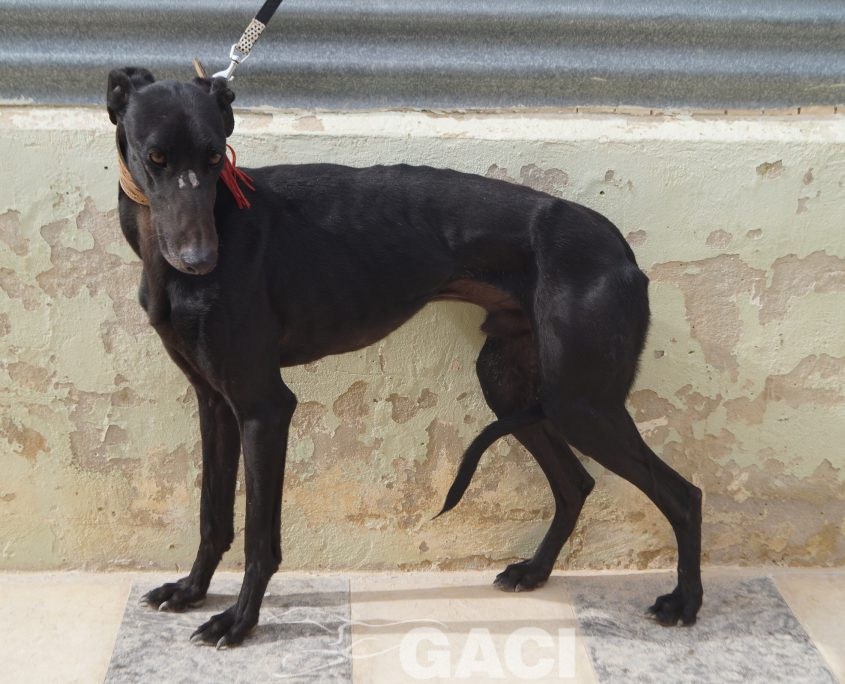 P210208_02 ISLERO M2 941000023950942 ( CESION) (1)