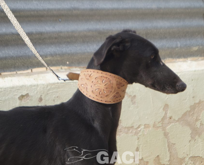 P210208_02 ISLERO M2 941000023950942 ( CESION) (4)